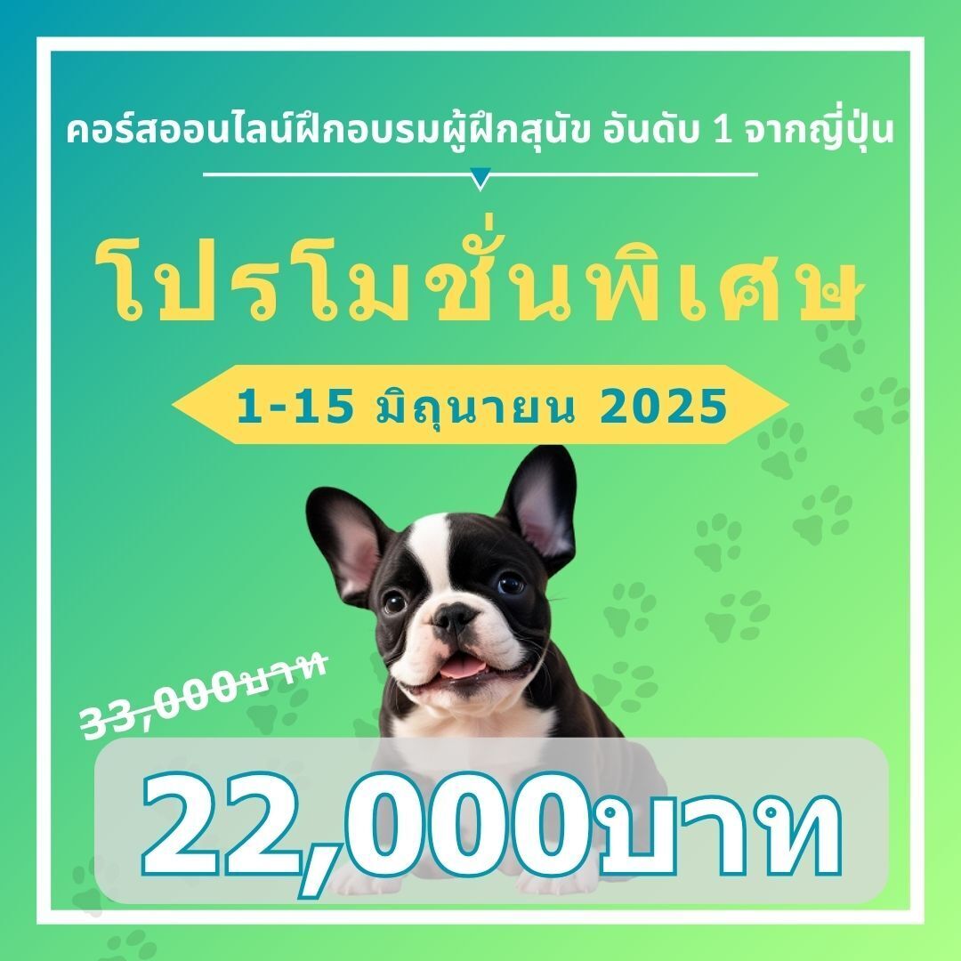 หลักสูตรออนไลน์ของวิทยาลัยฝึกสุนัข - Special Promotion